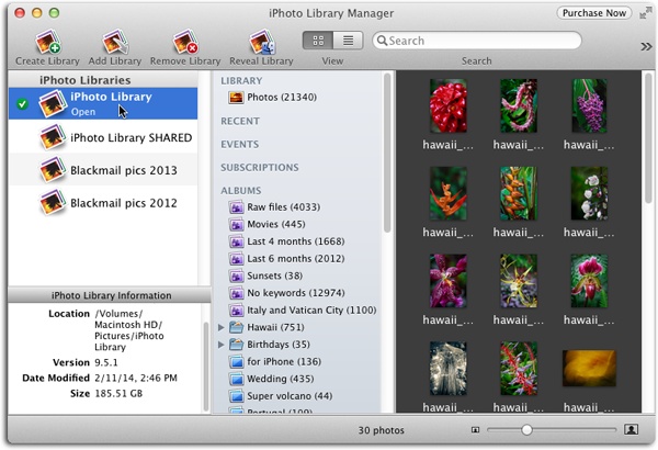 iPhoto Library Manager lets you quickly switch among as many iPhoto libraries as you want.Select a library from the list on the left and the other columns show its albums and thumbnails. (The active [open] library has a checkmark next to its name.) You can download the program for free, though the $30 version includes more features.