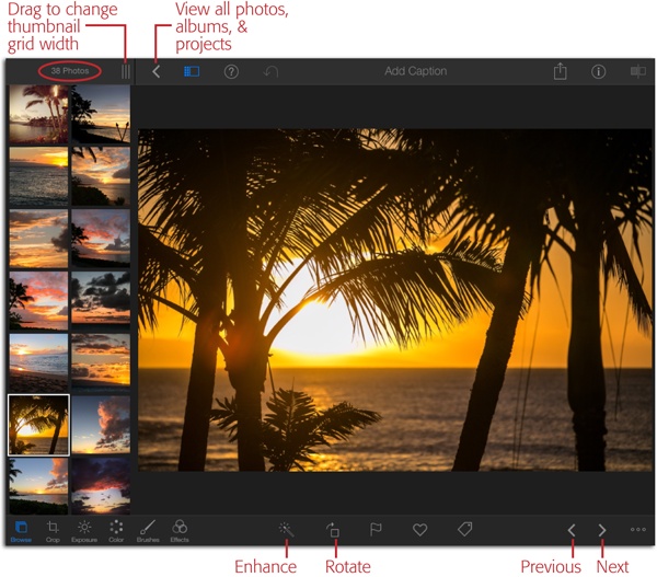 You can change the size of the thumbnail grid by dragging the icon labeled here (left). Drag the photo count (circled) to the right of your screen to reposition the grid on the right side instead of the left. If you’re holding your iPad vertically, then the thumbnails appear at the bottom of the screen.Clicking the < at the top of the screen returns you to the main screen, where you can see all of your photos, albums, or projects. To see the previous or next photo in the album, click the < and > at the bottom right of your screen (labeled here).