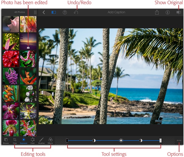 To edit a picture, open it to display the editing tools labeled here. Tap any editing tool to make its settings appear to its right. This screenshot shows the Exposure tool’s settings (a brightness bar), but the settings vary from tool to tool. To put the tool away and bring back the Auto-Enhance, Rotate, Flag, Favorite, and Tag icons you learned about in the last chapter, tap the tool’s icon again.When you edit a picture, a white toolbox icon appears on its thumbnail (two are visible here).
