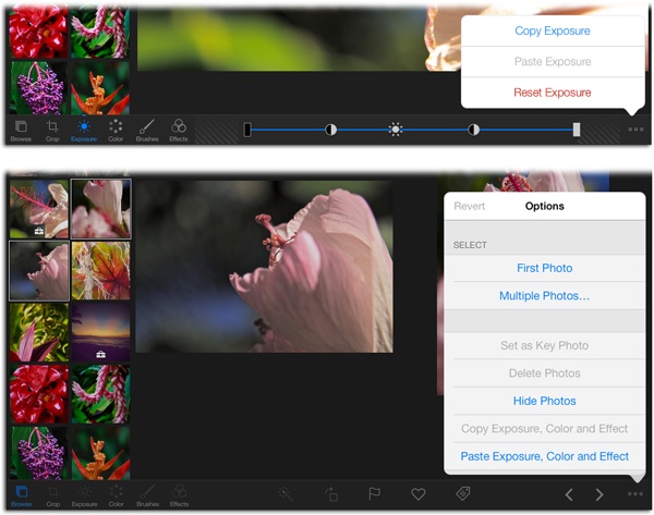 Top: You can use the Options menu to copy individual edits made with a particular tool while that tool is active (the Exposure tool is active here).Bottom: To copy or paste multiple edits, select a photo and then tap Browse at the bottom left to deactivate all the editing tools. Then tap Options, and the menu that appears lets you copy or paste changes made with the Exposure, Color, or Effects tools. (iPhoto doesn’t let you copy or paste changes made with the Crop or Brushes tools.)