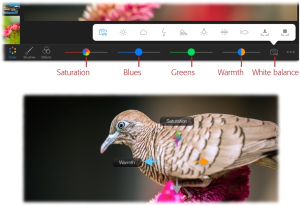 Top: A white balance adjustment can perfect your photo’s colors, so tap the camera icon and try these various settings. If the photo still needs some color help, use the sliders labeled here to adjust the saturation, intensity of blues or greens, or overall temperature. Drag the Warmth slider left to cool the photo or right to warm it.Bottom: Alternatively, tap and hold the image to reveal these controls. Drag up to increase saturation or down to decrease it; drag left to cool the photo or right to warm it.