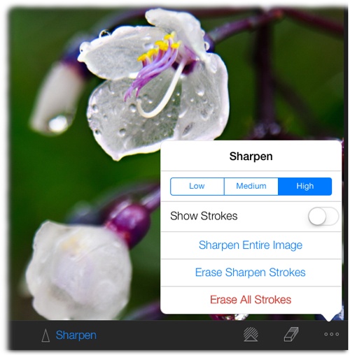 Different brushes give you different options. With the Sharpen brush active, the Options menu gives you the ability to specify Low, Medium, or High amounts of sharpening.To sharpen the whole image, tap Sharpen Entire Image. Paint across an area for a little selective sharpening instead.