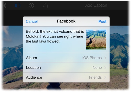 If you’re posting to Facebook or Flickr, you can indicate which album or set you want to post to. You can also specify whom you’re sharing this item with—just your friends, everyone, and so on—by tapping Audience.