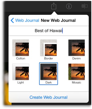 Your web journal theme choices are Cotton, Border, Denim, Light, Dark, and Mosaic. (For maximum contrast, go with one of the darker options.) Don’t fret too much about this choice, as you can easily change themes later, as described below.