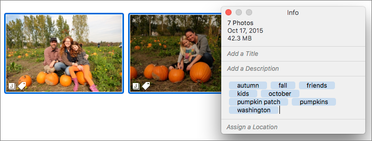 Figure 22: Do an end-run around Photos by applying keywords to the batch of photos after they’re imported.