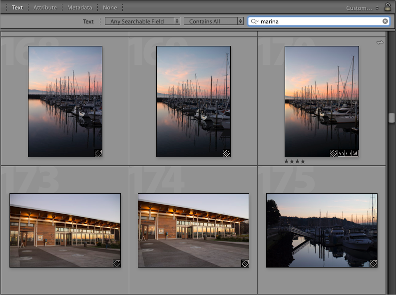 Figure 30: Searching for the term “marina” in Lightroom.