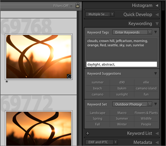 Figure 32: Adding keywords to selected images in Lightroom.