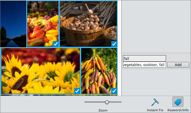 Figure 35: Adding keywords to a batch of images in the Elements Organizer.