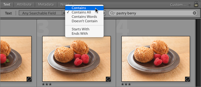 Figure 58: Choose how Lightroom handles search terms.
