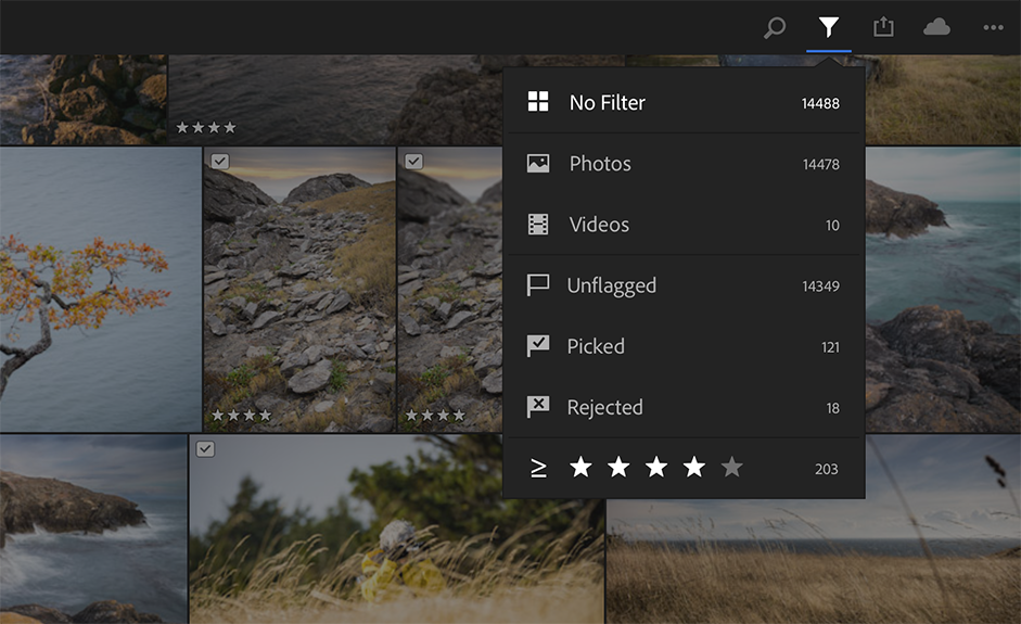Figure 77: Filter the photos in Lightroom Mobile (iPad shown here).