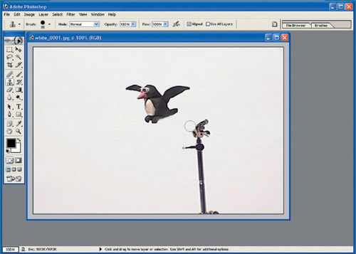 A rig holding up an object can be removed digitally with Photoshop.
