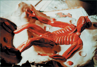Another example of a sculpt inside its clay bed, with keys sculpted into it. (Copyright Stop Motion Works.)