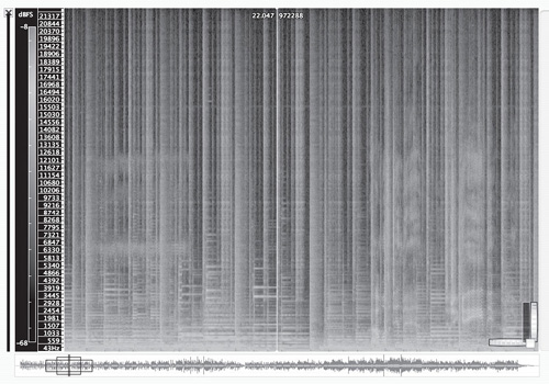 A spectrogram displays changes in sound energy per frequency over time.
