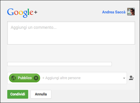The Google+ button
