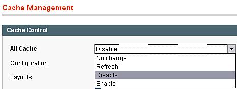 Clearing Magento's cacheBlank Theme, Cheesy Cheese Storeaccessing