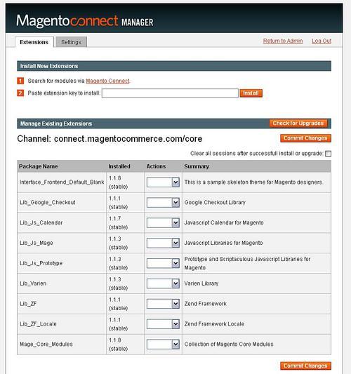 Installing Magento's Blank Theme