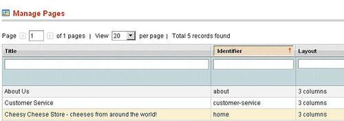 Adding content with Magento's CMSBlank Theme, Cheesy Cheese Storeappearance