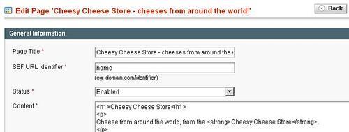 Adding content with Magento's CMSBlank Theme, Cheesy Cheese Storeappearance