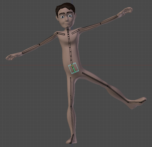 Rigging the pelvis