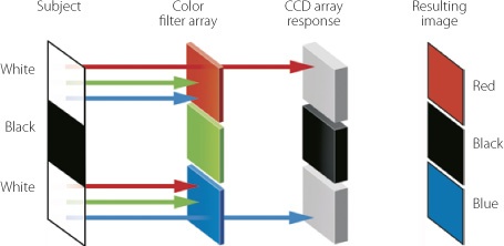 A Bayer pattern image sensor with its erroneous color interpretation. An AA filter is positioned in front of the color filter array in order to correct this problem.