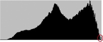 Histogram showing potential overexposure (red circle)