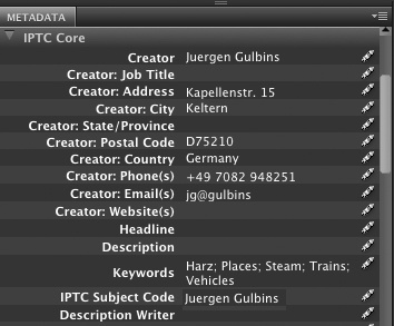 A selection of IPTC data. You can configure Bridge to show or hide individual items.