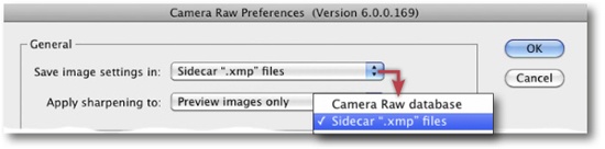 Part of the Bridge Camera Raw Preferences dialog. This is where you decide where and how to save metadata.