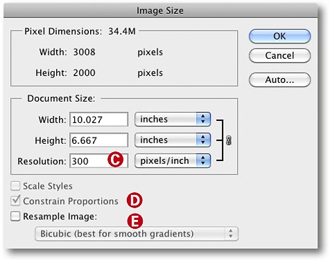 The Photoshop Image Size dialog