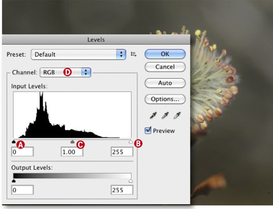 The “Levels” dialog initially displays the image histogram.