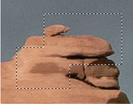 Photoshop marks the active selection using a dotted line.