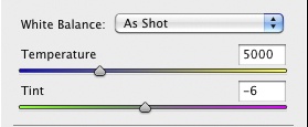 White Balance in ACR