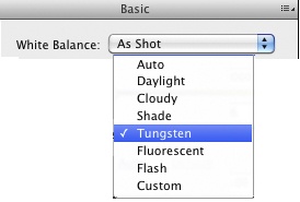 White balance preset offered by the ACR WB menu