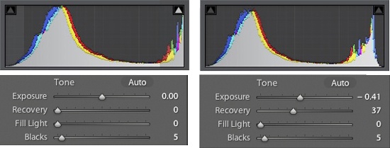 The burned-out highlights in the left-hand histogram were eliminated using the Lightroom Recovery and Exposure sliders-