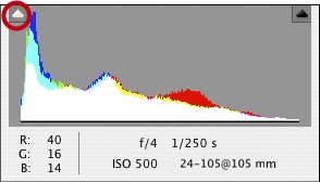 An ACR histogram. The non-black triangle at top left indicates that the image has clipped shadows.