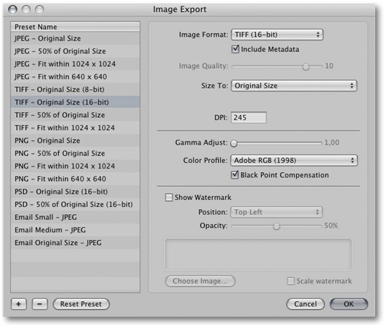 You can save various export parameters for subsequent application to image copies.