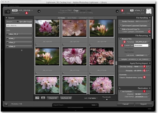 The Lightroom import dialog is clear and comprehensive, and includes effective renaming, IPTC data application, and keyword management functionality.