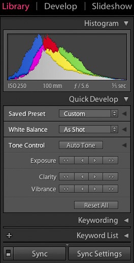 Lightroom’s simple Quick Develop adjustment tools.