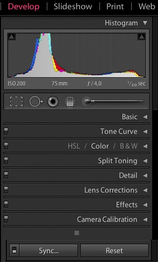 Lightroom 3 histogram and correction panels