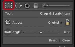 Cropping and straightening are combined in one tool with two icons.