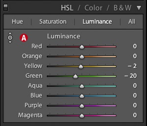 You can use the HSL/Color/B & W panel to make fine tonal adjustments to the entire image.