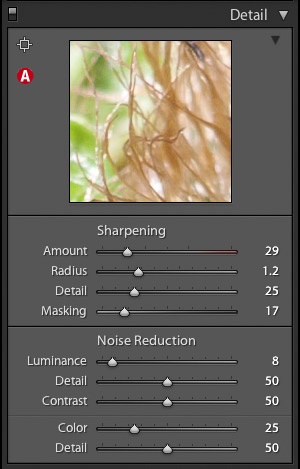 Sharpening and Noise Reduction sliders