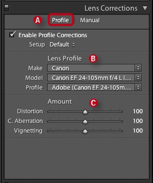 Lightroom 3 includes automatic lens correction functionality.