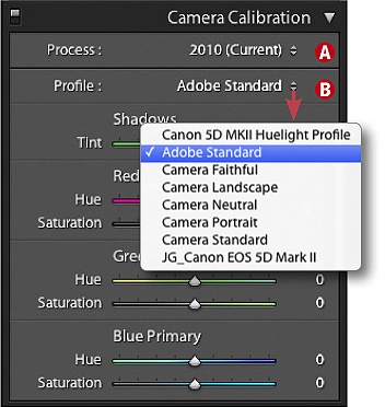 Here, you can select or adjust a specific camera’s color profile.