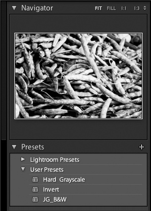 Presets panel in the Lightroom Navigator