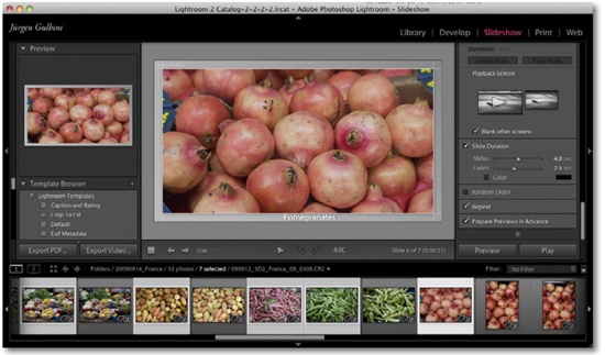 Lightroom Slideshow module. The right-hand panel shows only a few of the many available options.