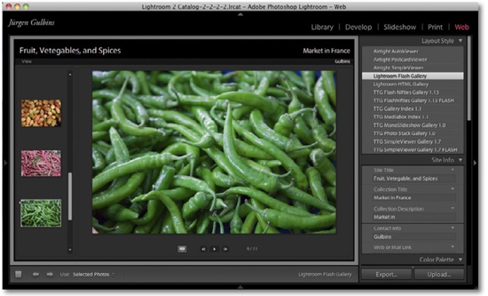 The Web module with the filmstrip hidden. The center preview window is currently displaying a Lightroom Flash Gallery.