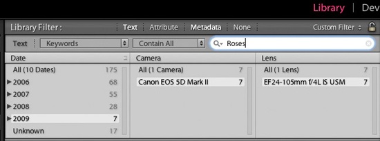 These Filter settings find images that contain the keyword “Roses” taken in 2009 using a Canon EOS 5D Mark II with an EF 24-105mm f/4 L IS USM lens. This filter searches the entire catalog for suitable images.