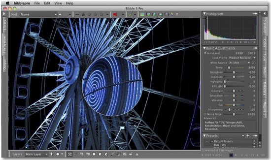 The Bibble 5 editing window, showing the Magnifier (in the center of the Preview Panel) and the Tools Panel