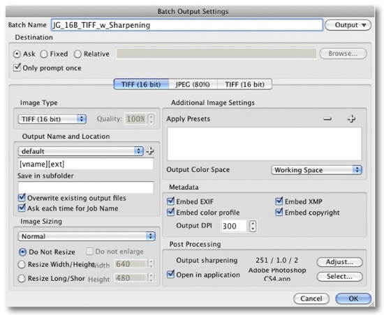 Batch Output Settings dialog