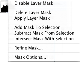 Select the layer mask and call up the context menu (right mouse button) to see a number of mask options.